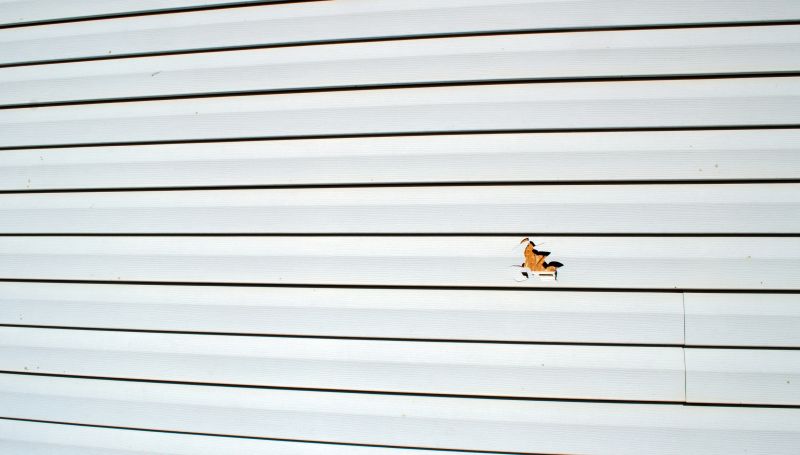 Property with Repaired Siding